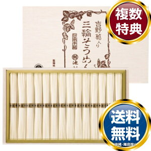 g슋O֑f  TԂ ԗi i Mtg MtgZbg lߍ킹 yY  b lC 