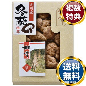 BY؂ǂ񂱒ő  TԂ ԗi i Mtg MtgZbg lߍ킹 yY  b lC 