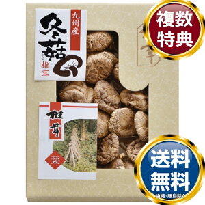 BY؂ǂ񂱒ő  TԂ ԗi i Mtg MtgZbg lߍ킹 yY  b lC 