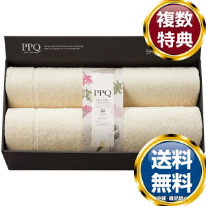 PPQ vcp[NHeB I[KjbNRbg ^IPbg2P  TԂ ԗi i Mtg MtgZbg lߍ킹 yY  b lC 