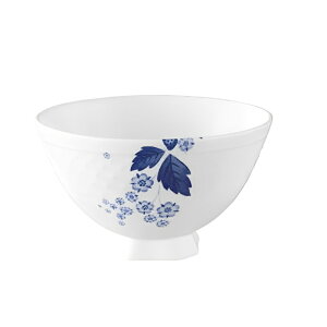 EFbWEbh WEDGWOOD Xgx[u[CfBS CX{E (L)  uh mH   킢  _ lC   o Mtg