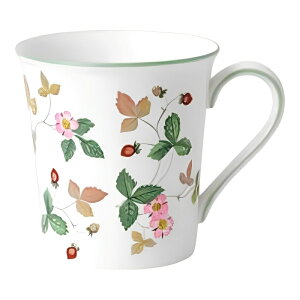 EFbWEbh WEDGWOOD CXg JWA }O O[300ml  uh mH   킢  _ lC   o Mtg