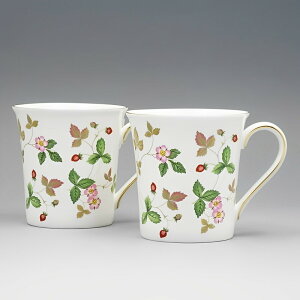 EFbWEbh WEDGWOOD ChXgx[ r[J[ ftB[(AMA) yA  uh mH   킢  _ lC   o Mtg