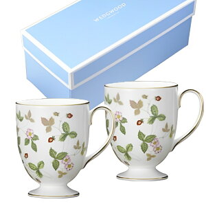 EFbWEbh WEDGWOOD ChXgx[ yAtbeBh}OJbv  uh mH   킢  _ lC   o Mtg