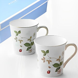 EFbWEbh WEDGWOOD ChXgx[ yA}OJbv sNO[  uh mH   킢  _ lC   o Mtg