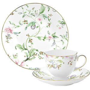 EFbWEbh WEDGWOOD XEB[gv fU[gM(20cm)Zbg  uh mH   킢  _ lC   o Mtg