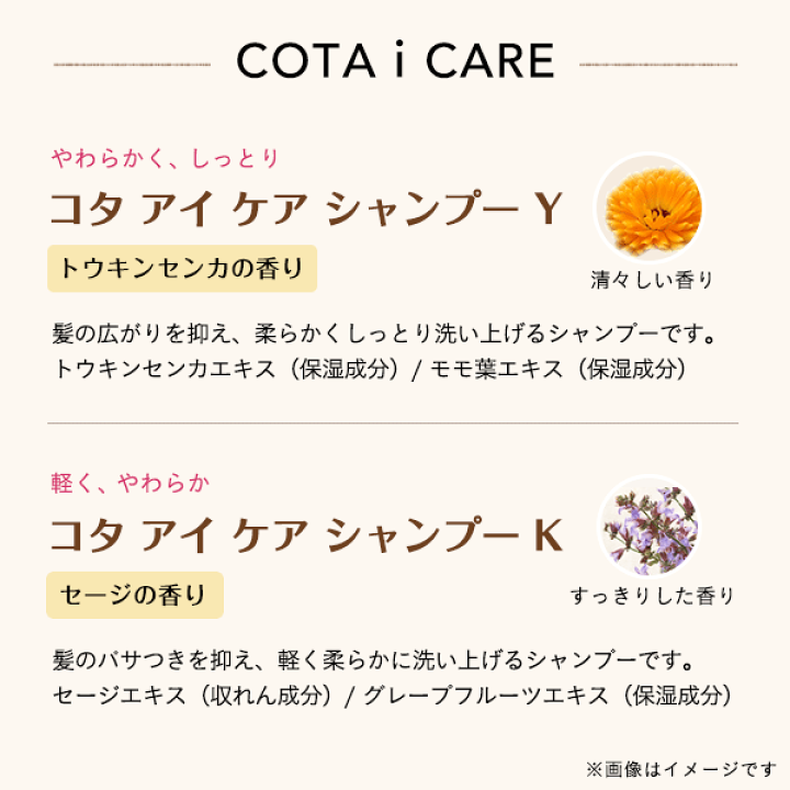 楽天市場】【クーポン対象5月6日23:59迄】コタ アイケア