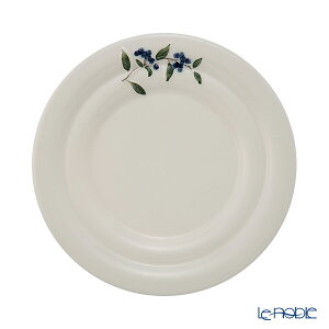 }~c|e X^WIG ~eB[ P[Lv[g 20cm /// studio m  킢 JtF P[LM u[x[ M  aH  uh // Mtg v[g 蕨 