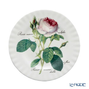 y12/1N[|EP10z CJ[J hDgT^hD[eE[Y eB[v[g 20cm CJ[J CMX H Zbg