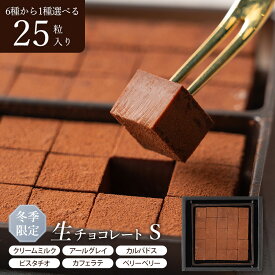 生チョコレート 詰合せ ギフト S 25粒入 6種のフレーバー ミルク ベリー ピスタチオ カルバドス アールグレイ カフェラテ le pineau 生チョコ