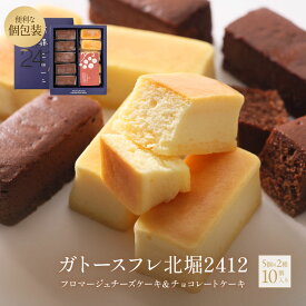 スイーツ ギフト チーズケーキ ガトーショコラ 10個入り 北堀2412 ガトースフレ フロマージュ チョコ