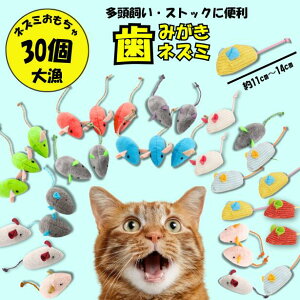 ylY~z_܂Ƃߔ30^ L   f^PA I[PA  ꖂ C L ΍ lV ЂƂŗVׂ  OȂ qL VjA ݂͂ ˂ v