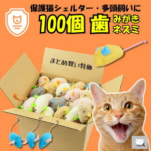 ylY~z_܂Ƃߔ100C^ L   ˂ 100 f^PA I[PA ݂͂ ˂   XgbN lV ЂƂŗVׂ OȂ  ی