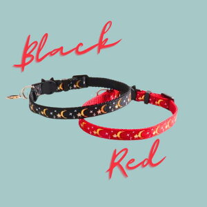 yZ[teBobNz_~|bL^L ˂ S  Z[teB ^b` obN ߋ y y XgXt[  O `[  IV   v[g یL