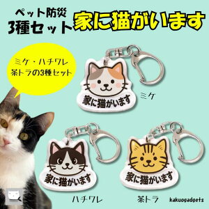 _ 3Zbg^ ybgh _ƂɔL܂^ L L[z_[ AN ƂɔL܂ ˂܂ ybg h ObY ЊQ΍ 킢 OєL n` g v[g Oo 