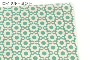 LЃX[Xjbgn155cmЁ^uk̂/fCW[vyԕkȕzRbg{YnhCh ppIWii W[WCG[sN ~g x_[ mt