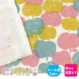 広巾ミニウラ毛ニット生地160cm巾／マンチ（リンゴ）柄【りんご カラフル 子供服 コットン 布 綿 日本製 国産 ハンドメイド 商用利用可 当店のみオリジナル商品 スウェット 裏毛】