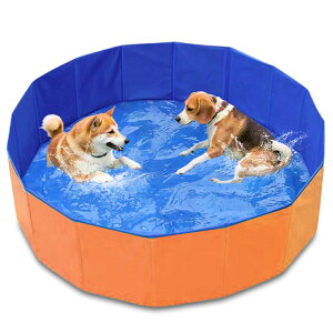 yzybgv[ 傫 160cm qp ^ ybgpv[ ܂肽 ~ Csv rt ܂݃v[ 1.6m^ƒp t@~[v[ ܂ LbYv[