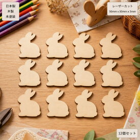 兎 木製工作キット ギフト
