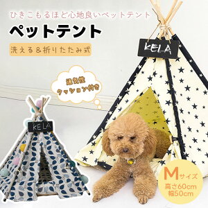 y܊p`fUCzpnEX | }bgtpegnEX | pLveg | ʋC/\/܂肽݉\ | O | ^^܂őΉ | ȗtϕ | h