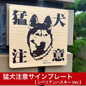 ynXL[zҌӃv[g //|XgΉ hƃTC Oό {bzƎ҂S̒ӊN