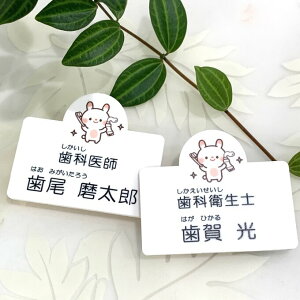 yzȗpD l[v[g ANUVi pst  Xܗp AND