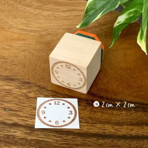 vnR X^v  S mFnR (2cm×2cm)