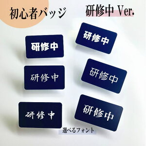 yzC IWiDl[v[g(lCr[) AN pst