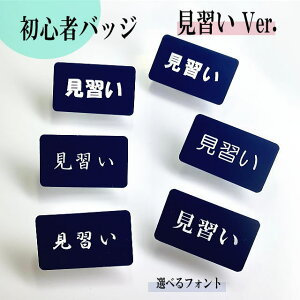 yzK IWiDl[v[g(lCr[) AN pst