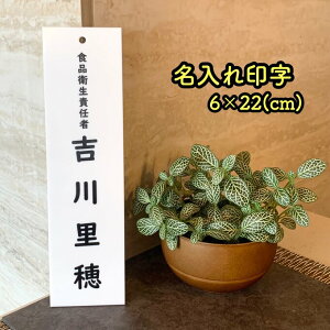 yzHiqӔC (6×22)󎚃TCv[g Ǘv[g W \v[g \