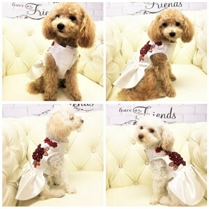 Ă΂ꃏss[X 1 2 VN ^CVN hJ ɏ ps[ ^ ^  L ybg  ̕ L̕  L m EFA 킢 oCJ[ p[r[Y ANZ 