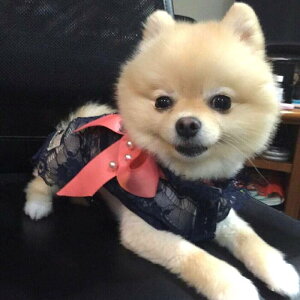 gbvX 2`4 gbvX L[g [X r[Y Rbg ڂ [X ɏ ps[ ^ ^ ^  L ybg  ̕ L̕  L m hbOEFA VbN fB 