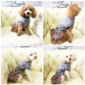 s[X 1`3 s hX ANZT[t oCJ[ cC[h mg[ { ڂ 璹iq Vv ɏ ps[ ^ ^ ^  L hbOEFA dog  ̕ 