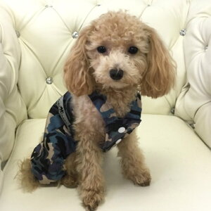 I[o[I[ 0`2 I[C Jo[I[ Ȃ ɏ ps[ ^ ^  L ybg   L ̕ L̕ EFA Jt Jt[W ʕ XgCv V