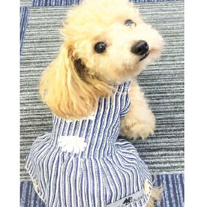 ^TCY Hs[X 3 4 JWAs rW[ p[ i` Vv ɏ ps[ ^ ^  L ybg  ̕ L̕  L m EFA 