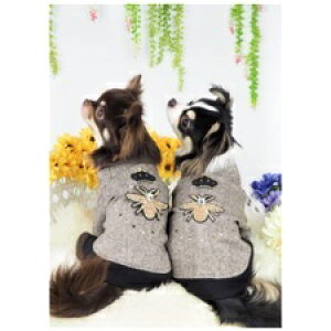 �y�������̊��Ӊ��i�z�g�b�v�X 1�`6�� ������ �V���v�� �m�� �h�b�O�E�F�A ���� dog �� ���� �N���E�� �ʔ� �j�̎q �r�[�Y �J�W���A�� ������� ���킢�� �ɏ��� �p�s�[ �����^�� ���^�� �� 