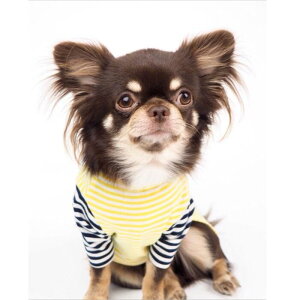 ^TCY H {[_[ gbvX 1`4 TVc oCJ[ ^ ^ X^C   T ɏ ps[ ^ ^  L ybg  ̕ L  L m EF