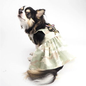 ^TCY H ʕs[X 2`5 Wp[XJ[g WXJ s Jt ʕ EFA pXe n[g fj hbg { JWA 킢 ɏ ps[ 