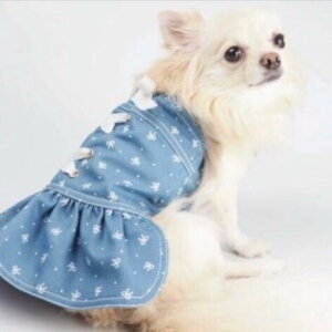 WXJss[X 2`5 Wp[XJ[g WXJ s m EFA { hbg fj pXe 킢 JWA ɏ ps[ ^ ^  L ybg 