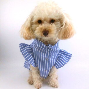 ^TCY H nCEGXg s[X 2`4 `jbN hX s ɏ ps[ ^ ^ ^  L ybg  ̕ L̕  L m hbOEFA p[r[Y