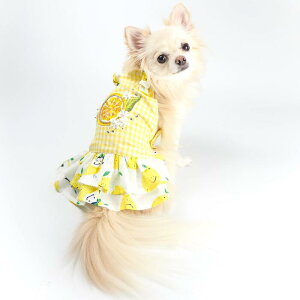 tăfUCss[X 3 5 hX s t[ t Xg[ ɏ ps[ ^ ^ ^  L ybg   L ̕ L̕ m EFA ĕ L[g 