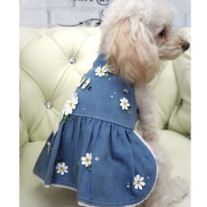 킢sĂ񂱐胏s[X 0`5 s fj [X  L ybg  ̕ L̕  L m EFA Xg[ r[Y rW[  JWA hX ɏ ps[ 