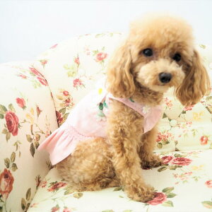 ŒtFss[X 0`6 s  Xg[ rW[ AbvP 킢  hX ɏ ps[ ^ ^  L ybg   L ̕ EFA t