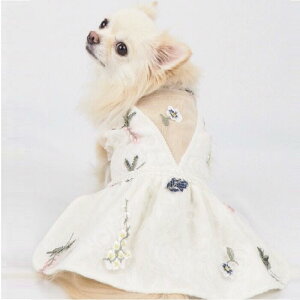 s[X 1`5 hX s r[Y rW[ m EFA ^CVN VN I[KW[ `CihX Xg[ i` Rbg ɏ ps[ ^ ^  L ybg 