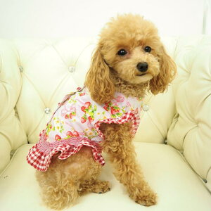 Ă񂱐胏ss[X 0`5 hbOEFA ̎q 킢    Xgx[ sN t `FbN MK`FbN s ɏ ps[ ^