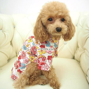 y󂠂zr 0`6 ׂ a a  ɏ ps[ ^ ^  L ybg   L L̕ ̕ nhCh m hbOEFA Õ ` { a  rrbgJ