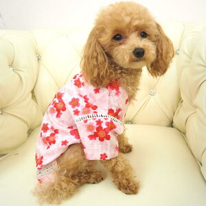 y󂠂zr 0`6 ׂ a a  ɏ ps[ ^ ^  L ybg   L L̕ ̕ nhCh m hbOEFA Õ ` { a  rrbgJ