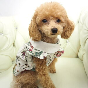 ^TCY Hs[X 0`5 hX Vcs EFA m ԕ  A[XJ[ Rbg {^jJ tA s nCEGXg `jbN ɏ ps[ ^ 