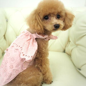 ^TCY H Rbg[X 0`6 s[X s gbvX i`  ɏ ps[ ^ ^  L ybg   L ̕ L̕ m EFA hbOEFA