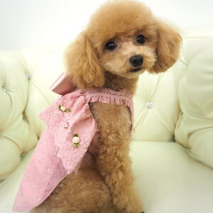 V[g ^TCY Hs[X 0`6 s ^ ^  L ybg ̕ L̕   L m EFA  Vv   Rbg [X pXe 